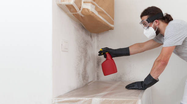Professional Mold Testing technician working in Westville, IL